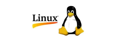 How to Install NordLayer VPN Client on Ubuntu 20.04 and Connect to a Virtual Network